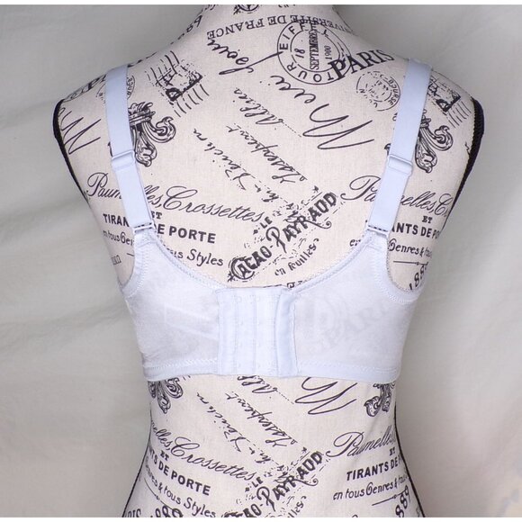 🆕WACOAL Basic Beauty Seamless Spacer Underwire T-Shirt Bra 34DDD Blue #853192 - Picture 5 of 6